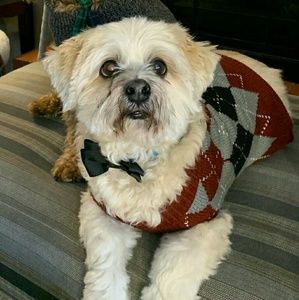 Meet your Posher, Shirley